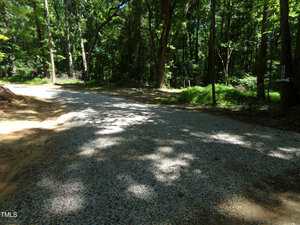 A gravel driveway curves through a wooded area with tall trees and dense greenery, casting shadows on the ground. Sunlight filters through the leaves.