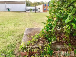 A concrete block with exposed rebar is partially covered by green vines and leaves. The block sits on grassy ground near a large open field, with industrial buildings visible in the background.