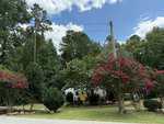 A tree-lined road leads to a charming house at 128 Creek Drive, Louisburg.