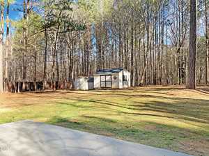 A small white shed with a dark roof and a decorative star stands in a grassy, partially shaded yard bordered by tall pine trees. A smaller structure is nearby, and part of a concrete slab is visible in the foreground.