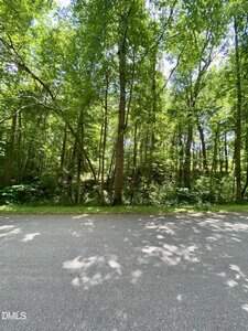 A road with trees in the background.
