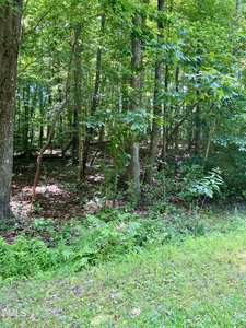 A wooded area with tall trees, green foliage, and a grassy clearing in the foreground. Sunlight filters through the leaves, creating dappled shadows on the forest floor covered with fallen leaves and small plants.