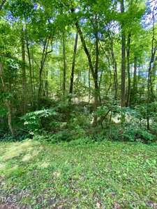 A dense forested area with tall green trees, thick underbrush, and sunlight filtering through the leaves. The ground is covered with grass and patches of leafy vegetation.