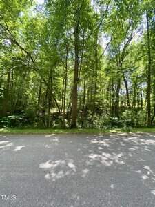 A paved road runs alongside a dense forest with tall, leafy green trees. Sunlight filters through the branches, casting dappled shadows on the road and ground. The scene is calm and natural.