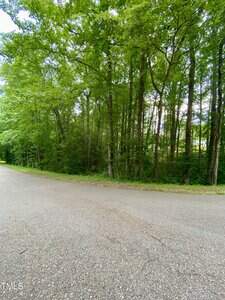 A paved road curves next to a dense forest with tall green trees and lush foliage. The sky is mostly obscured by the tree canopy.