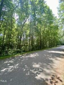 A paved road runs alongside a dense forest of tall green trees on a sunny day. Sunlight filters through the leaves, casting shadows on the road. The sky is mostly clear, and the scene appears calm and quiet.