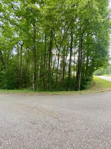 View of a paved road curving in front of a dense wooded area with tall green trees and thick underbrush. A sliver of another road is visible on the right, bordered by grass. Sky is mostly obscured by foliage.