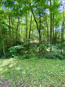 Sunlit forest area with tall trees, dense green foliage, and a patch of grass in the foreground. The scene is vibrant and lush, with sunlight filtering through the leaves. No visible paths or structures.