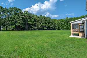 A large, grassy backyard with a line of dense trees in the background; part of a house with a small screened porch is visible on the right under a clear blue sky with some clouds.