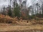 A patch of brown grass leads to tall, dry weeds and shrubs in front of a densely wooded area with tall trees and bare branches under an overcast sky near 316 Shawnee Drive in Louisburg.