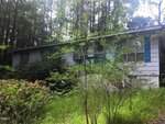 A white, single-story house with blue shutters at 448 Shawnee Drive, Louisburg, is partially obscured by overgrown bushes and trees. The home sits in a wooded area with tall trees and dense greenery surrounding it.