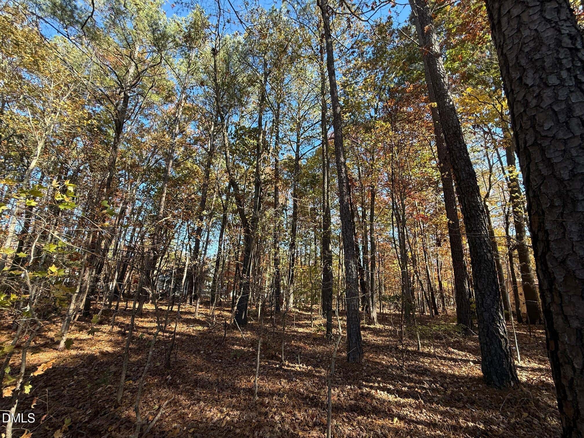 124 Shawnee Drive, Louisburg, NC 27549