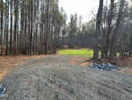 A gravel path winds through a forest of tall, thin trees at 6190 Bob Daniel Road, Oxford, leading to a sunlit clearing with green grass under a bright sky.