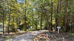 A gravel driveway at 136 Creek Drive, Louisburg, curves through a wooded area with tall trees and green foliage. Red flowers and a flamingo lawn ornament accent the left side, while a small white sign stands on the right by the trees.