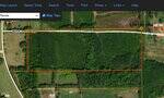 Aerial view map showing a large wooded parcel of land along Willie Jones Road near 0 Walter Collins Road, Castalia, outlined in orange, bordered by fields and a few houses, with property lines and measurements visible.