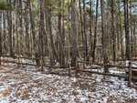 A wooden fence with broken sections runs through a snowy, wooded area near 2160 Frazier Lane in Franklinton, where tall trees and patches of brown leaves cover the ground as sunlight filters through bare branches.