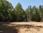 A cleared, dirt-covered area is surrounded by tall trees under a clear blue sky. Shadows from the trees stretch across the ground, and dense forest borders the clearing.