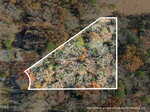 Aerial view of a wooded lot outlined in white, showing dense trees with autumn foliage. A house and vehicles are visible to the left outside the outlined area. Text at the bottom notes property lines are approximate.