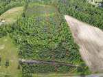 Aerial view of a rectangular wooded plot of land outlined in red, surrounded by other forested areas and a cultivated field, with a road running along the front edge.