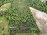 Aerial view of a rectangular, wooded plot of land outlined in red, surrounded by fields, trees, and a road running along the bottom edge of the image.