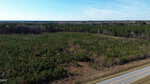 A paved road runs alongside a large, densely forested area with green trees under a clear blue sky. The landscape stretches into the distance, with a mix of young and mature trees.