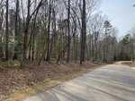 A paved road runs alongside a wooded area with tall, leafless trees and some green undergrowth. The sky is clear, and there are power lines visible along the right side of the road.