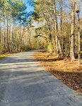 A paved road curves through a wooded area with tall trees on both sides. Sunlight filters through the branches, and fallen leaves are scattered along the edge of the road. The sky is clear and blue.