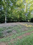 A grassy, slightly sloped area with some sparse ground cover in the foreground, bordered by dense, leafy trees under a clear sky. The scene is shaded and appears to be part of a wooded lot.