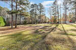 A large, grassy yard bordered by tall pine and deciduous trees, with sunlight streaming through the branches and casting long shadows on the ground. The sky is blue with scattered clouds.