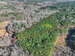 Aerial view of a forested area with a red triangle outlining a section of land; yellow text inside the triangle notes that the outline is not a survey and does not show the legal property boundary.