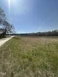 A wide, grassy field stretches alongside a dirt road under a clear blue sky, bordered by trees in the background. The sun is bright, casting shadows on the ground.