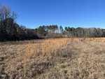 A field with tall dry grass and sparse vegetation under a clear blue sky, bordered by a line of trees in the background. A small structure is partially visible in the distance among the trees.