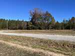 A gravel road runs through a grassy, open area with scattered patches of dirt. In the background, there are trees with green and brown leaves under a clear blue sky. Power lines cross above the road.