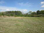 An open grassy field bordered by trees under a blue sky with scattered clouds. The grass is patchy and light brown in some areas, with a dense tree line in the background.