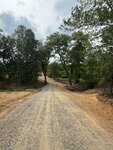 A dirt road stretches forward through a wooded area with green trees on both sides under a cloudy sky. The ground beside the road is dry and patchy.