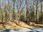 A paved road runs alongside a wooded area filled with tall, leafless trees and scattered green shrubs. Sunlight casts shadows on the forest floor, which is covered with brown pine needles.