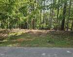 A paved road borders a grassy, slightly cleared area that leads into a dense forest with tall green trees under daylight. Some patches of dirt and fallen leaves are visible on the ground.