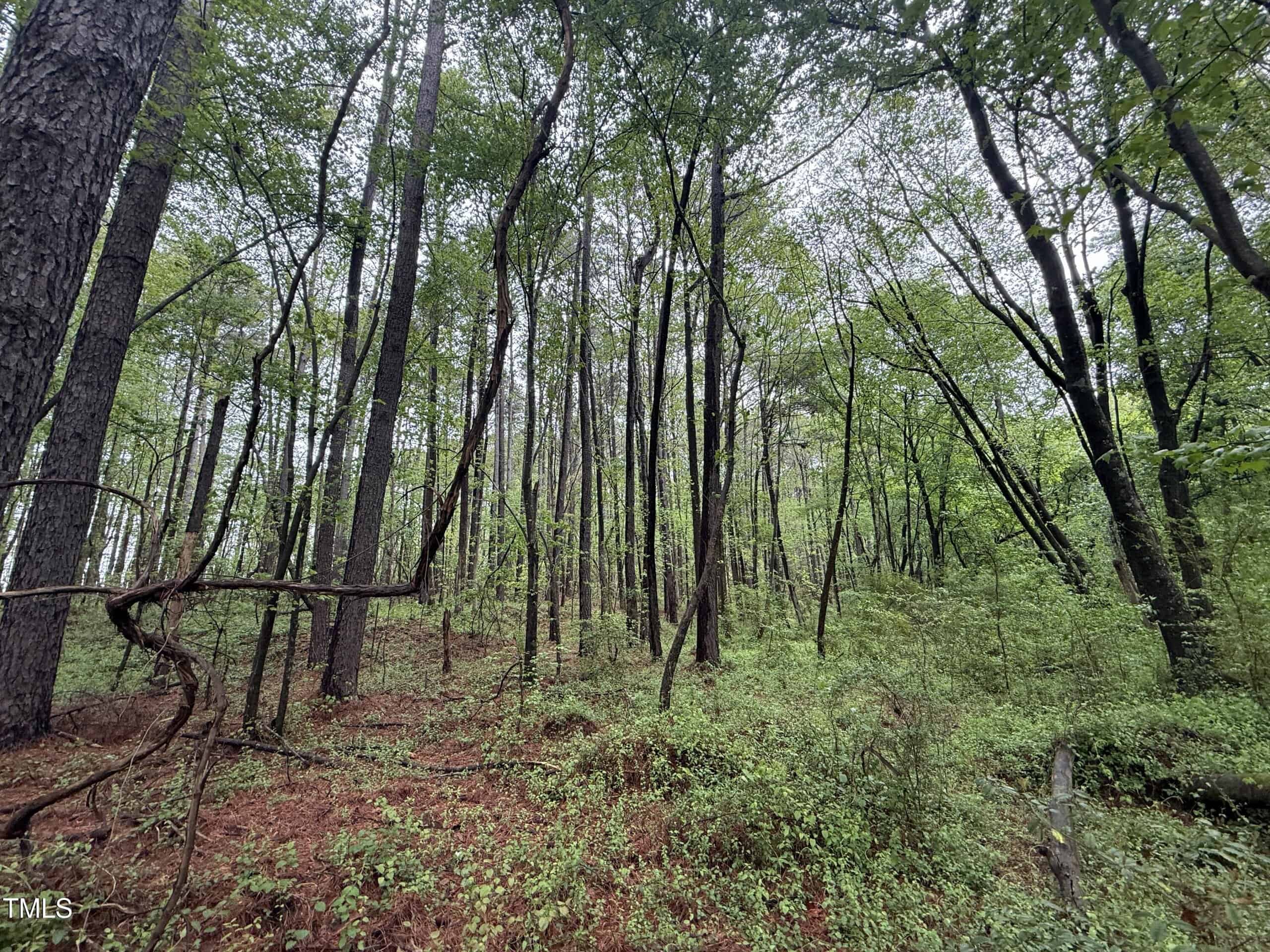 0 Poker Shake Lane, Louisburg, NC 27549