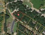 A satellite image showing a wooded property outlined in red, located along Fox Park Rd near intersections with Fox Cir and Dupree Dr. Yellow boundary lines mark nearby lots, and a building with a large parking lot is visible to the southwest.