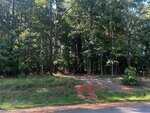 A narrow dirt path leads from the edge of a paved road into a dense, sunlit forest with tall green trees and thick underbrush. Power lines run overhead across the scene.