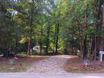 A gravel driveway leads through a wooded area toward a white RV, with potted plants, a pink flamingo lawn ornament, and mailboxes visible near the entrance. Sunlight filters through the dense green trees.
