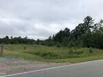 A grassy, vacant lot with small shrubs and trees, bordered by a paved road in the foreground. Dense woods are in the background under a cloudy, overcast sky.