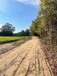 A sandy dirt road curves gently through green fields and trees under a blue sky with wispy clouds, with tire tracks visible along the path.