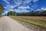 A gravel road runs alongside a grassy field bordered by a wire fence, with dense trees in the background beneath a blue sky filled with wispy white clouds.