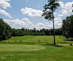 A golf course with a green in the foreground, several practice tees in the middle distance, trees surrounding the area, and a partly cloudy sky overhead creates a serene atmosphere at 127 Prairie Dog Drive, Louisburg.