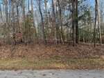 A wooded area near 137 Seneca Drive in Louisburg, with tall, leafless trees and scattered pine trees. The ground is covered in fallen leaves, and the photo is taken from the edge of a paved road in late autumn or early winter.