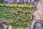 Aerial view of a dense, green forest near Zebulon, bordered by leafless trees, a curved road, and open grassy areas with a few buildings visible in the Lot C Kendall Lane area at the bottom left corner.