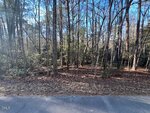 A paved road runs along the edge of a dense forest near 104 Santee Drive, Louisburg, with tall, leafless trees and scattered evergreen bushes under a clear blue sky. Sunlight filters through the branches, casting shadows on the ground.