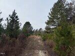 A dirt path runs through a landscape of tall green pine trees and brown grasses under a pale, cloudy sky near 0 Murphy Road in Youngsville.