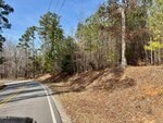 A two-lane road curves to the left beside a forested area with tall pine trees and dry leaves on the ground. A yellow curve warning sign is visible ahead. The sky is clear and blue.